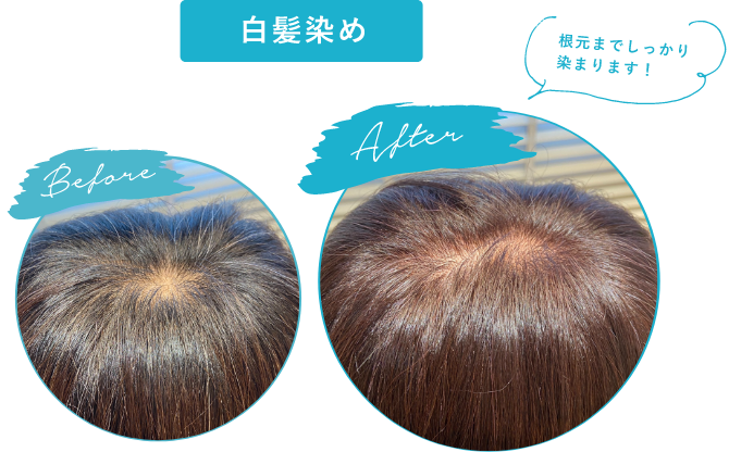 白髪染め